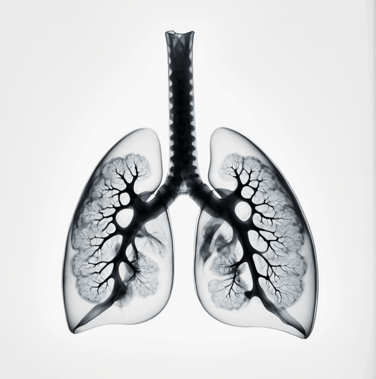 Как решить: рак легких у собаки в Подольске и эвтаназия